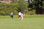OTFL Gallery Image